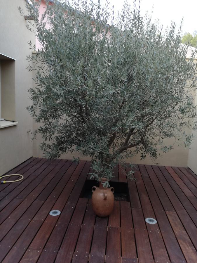 Bed and Breakfast Les Trois Oliviers Forcalquier Exterior foto